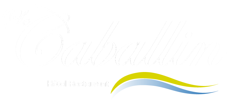 Hôtel Le Caballin