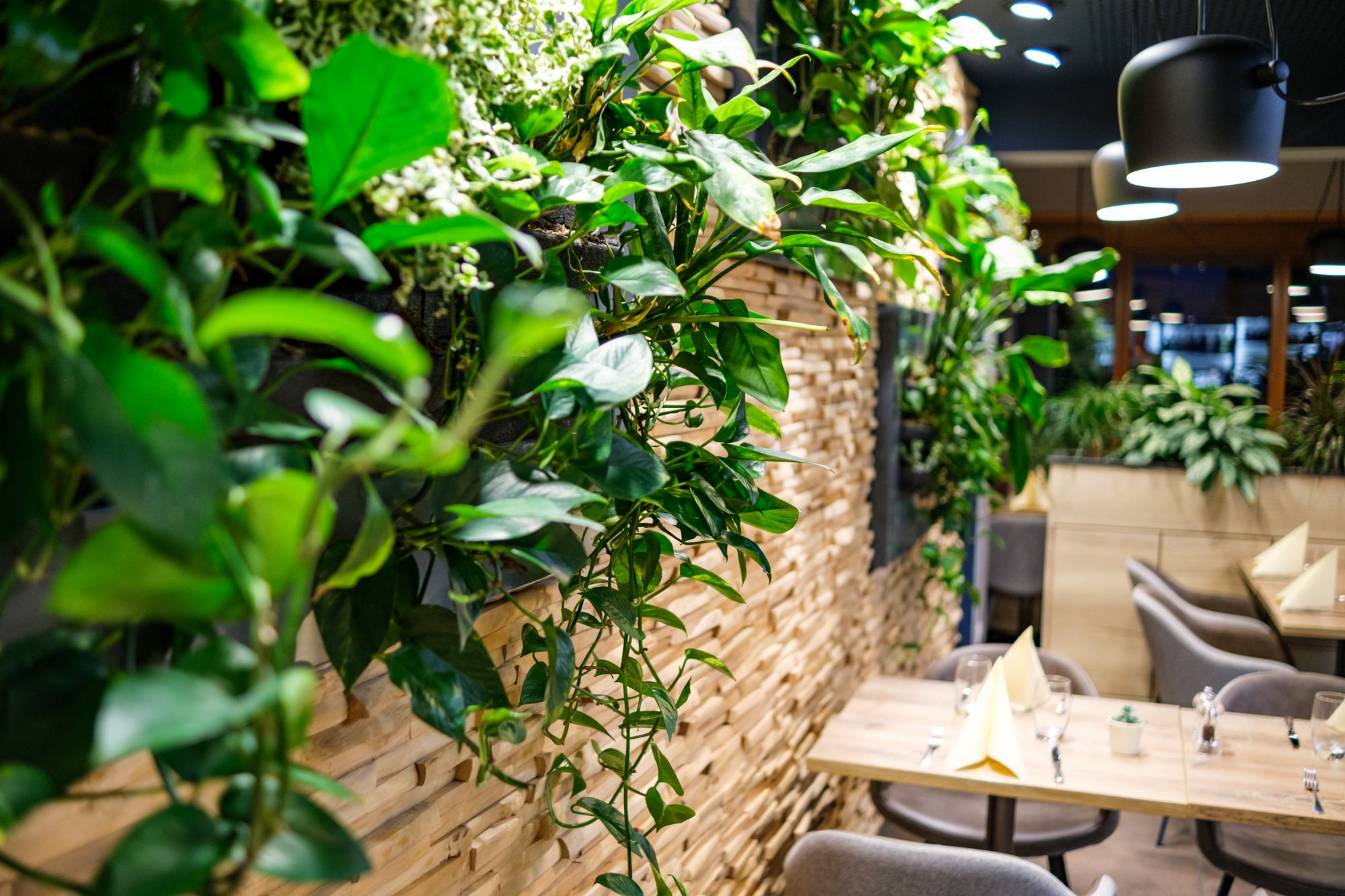 Notre restaurant Ensisheim 7