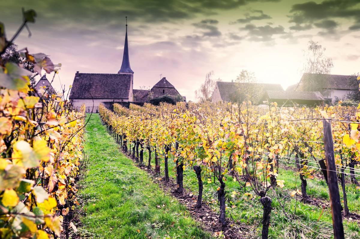 Tourisme et activités en Alsace Sélestat
