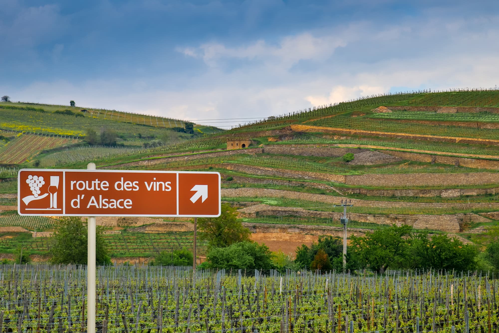 Quels itinéraires et visites sont possible sur la route des crêtes en Alsace ? Marckolsheim