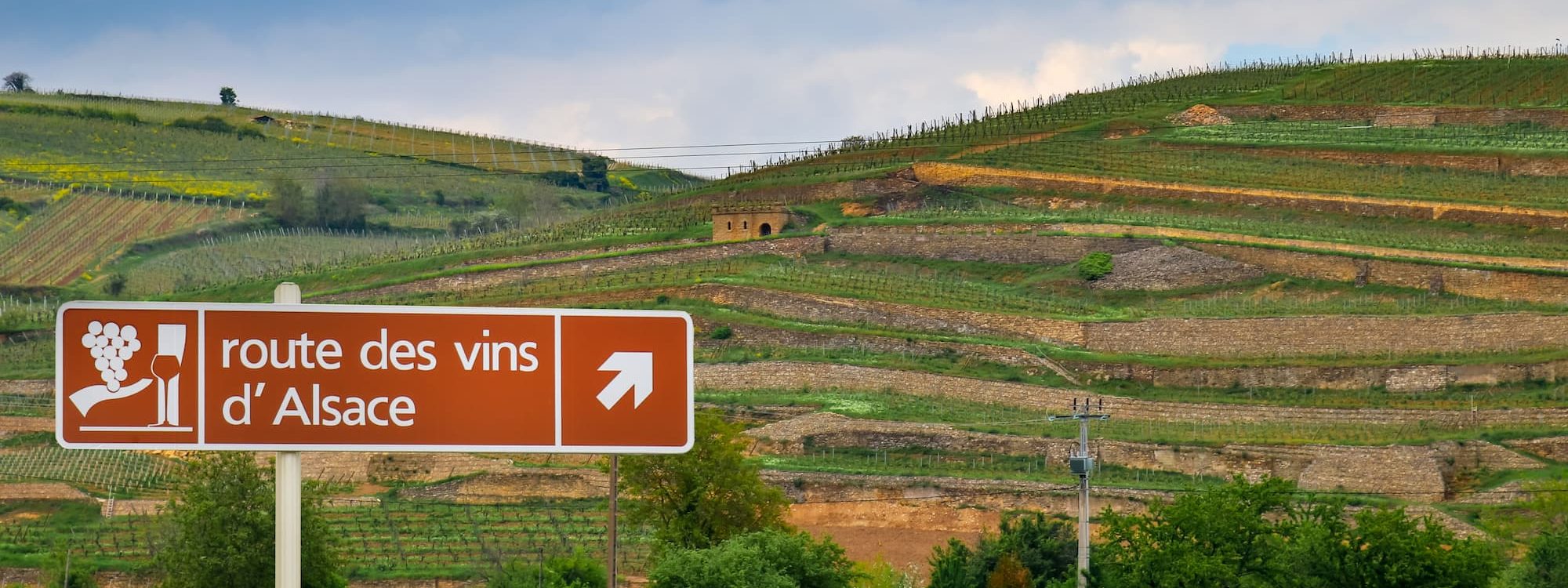 Comment faire la Route des Vins en Alsace ? Sélestat