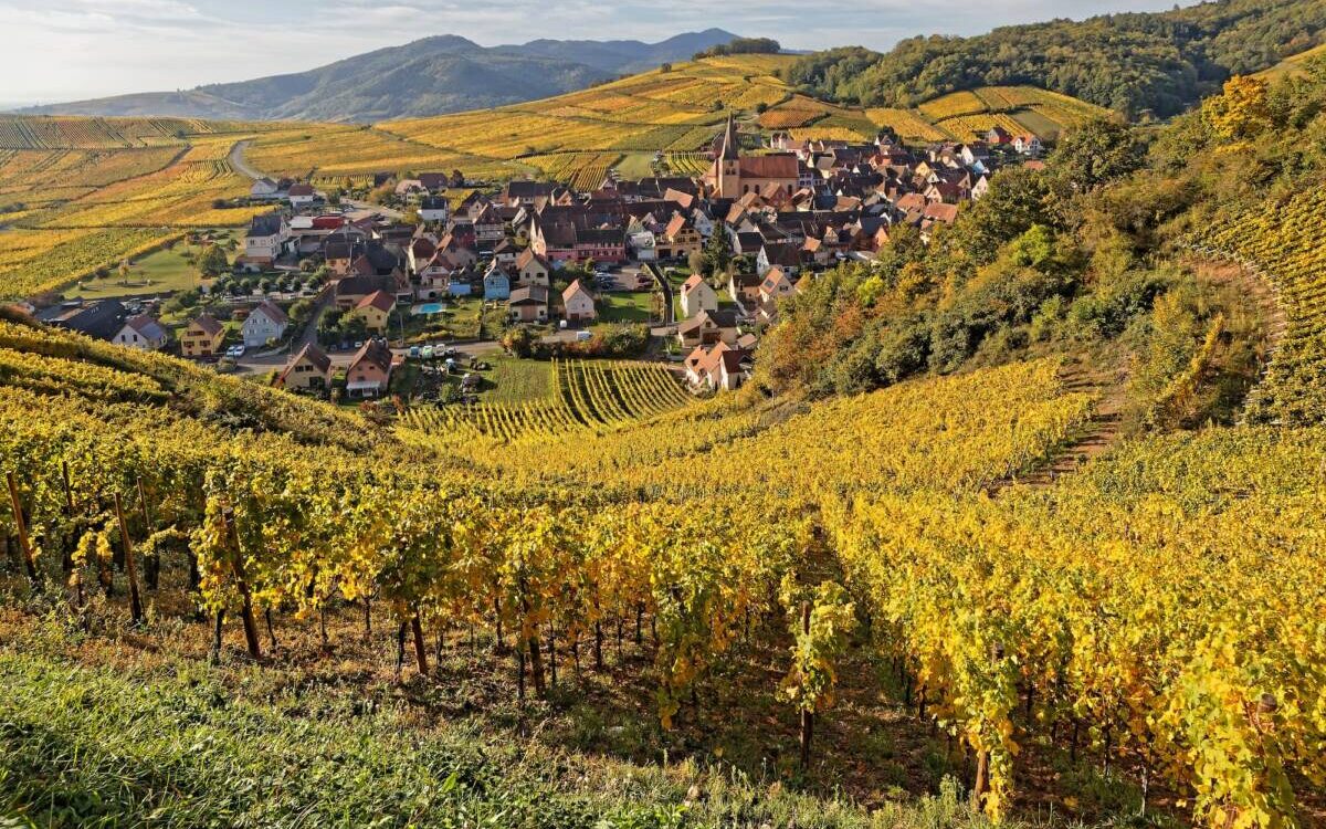Quand visiter l’Alsace ? Colmar