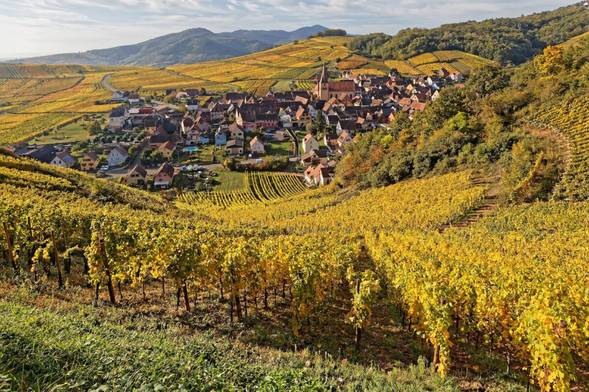 Que visiter à Fribourg ? Ensisheim