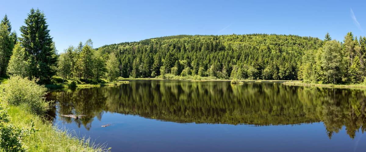 Que faire au Parc Naturel Régional des Vosges du Nord en Alsace ? Rouffach