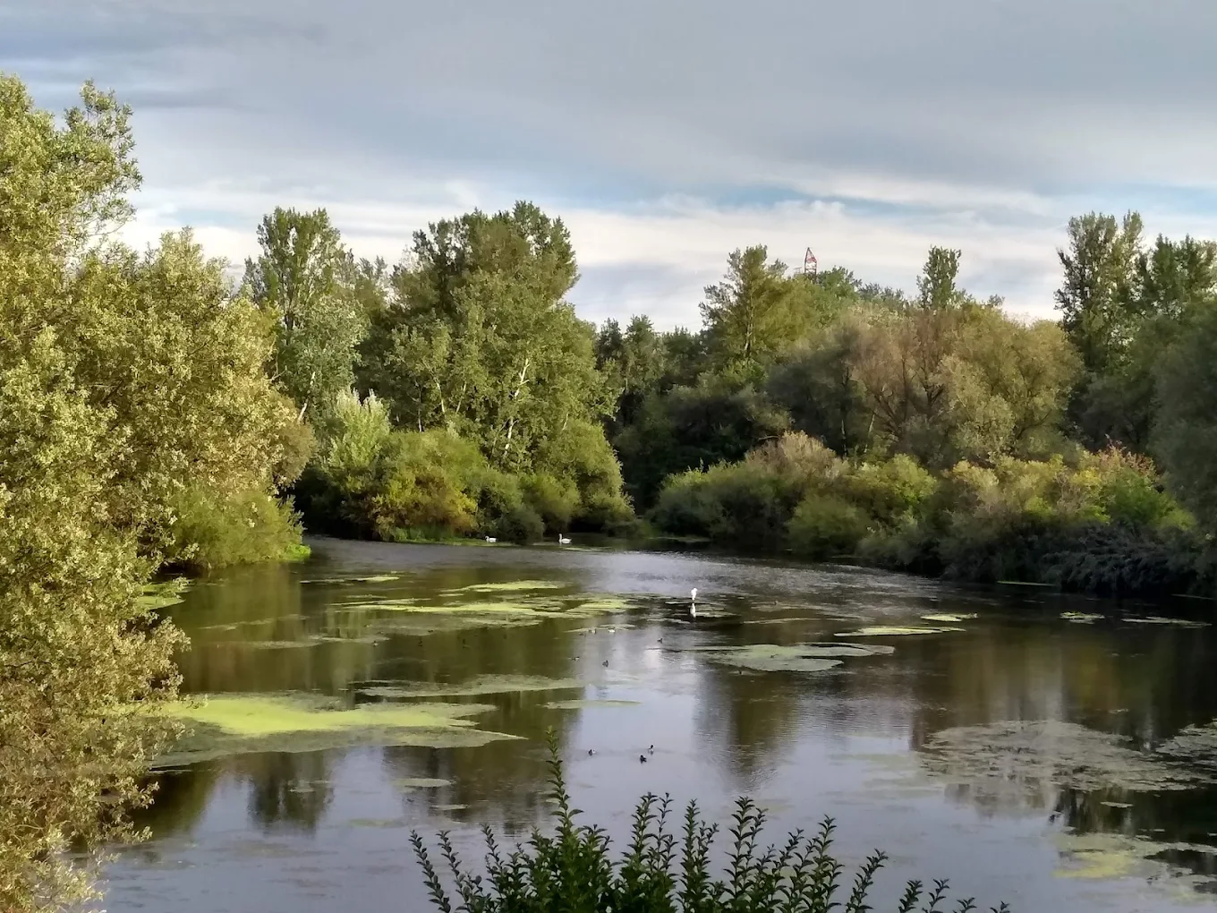 Photos pied de page Ensisheim 2